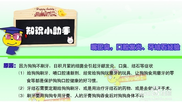 狗狗体臭怎么办