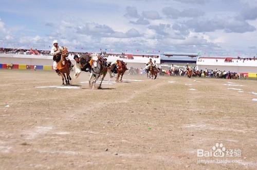 拉萨到成都6日游攻略