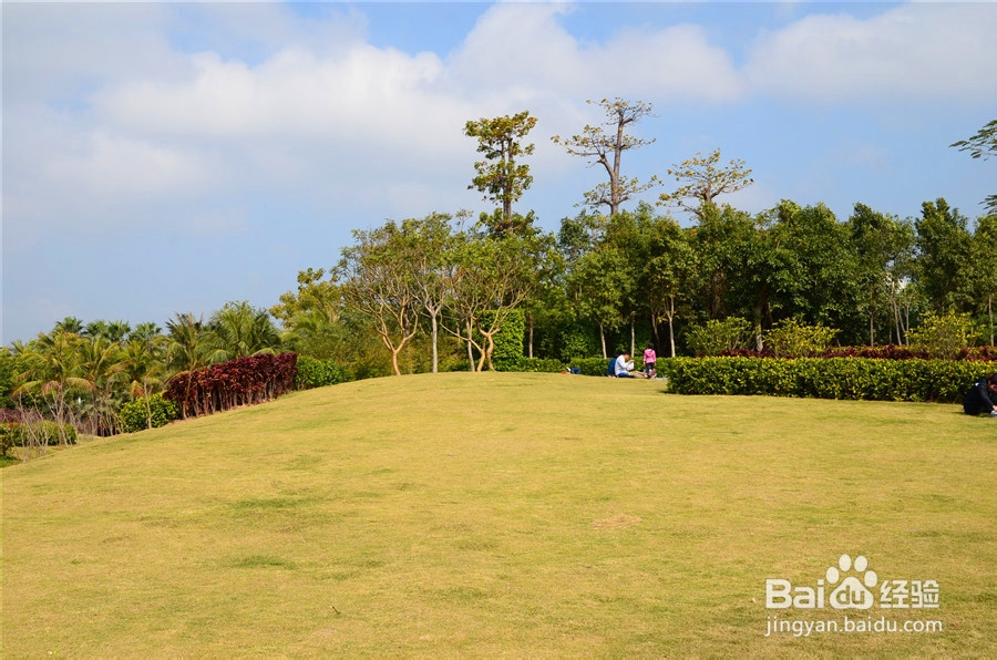 <b>【深圳免费景点篇】深圳湾公园徒步攻略</b>