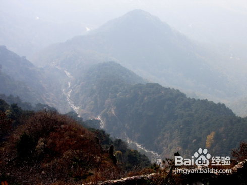 山东印象之体验泰山