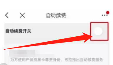 极融黑卡怎么取消