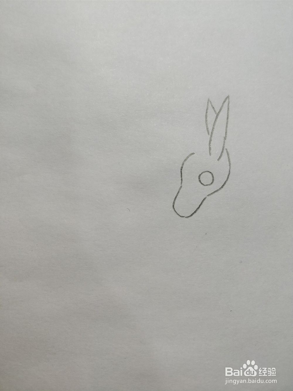 简笔画画小毛驴