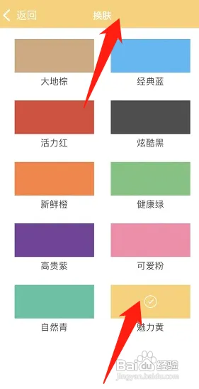 顶点小说怎样换皮肤颜色