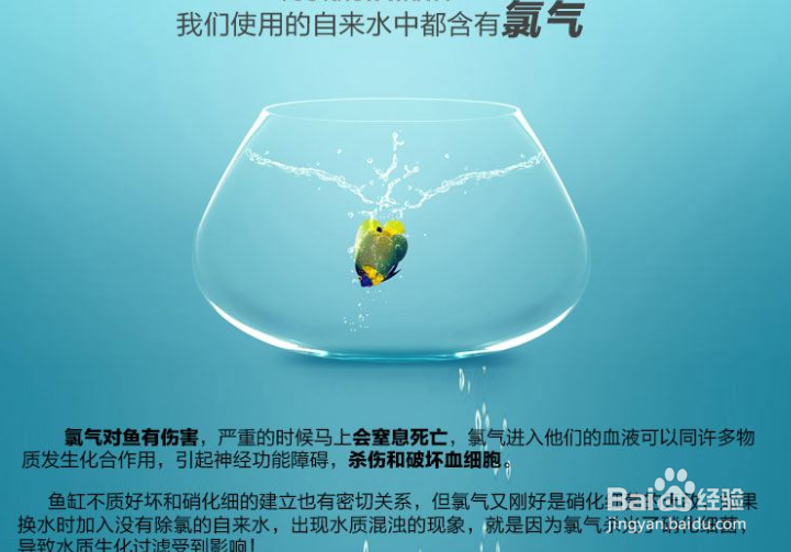 鱼缸水起白雾怎么解决
