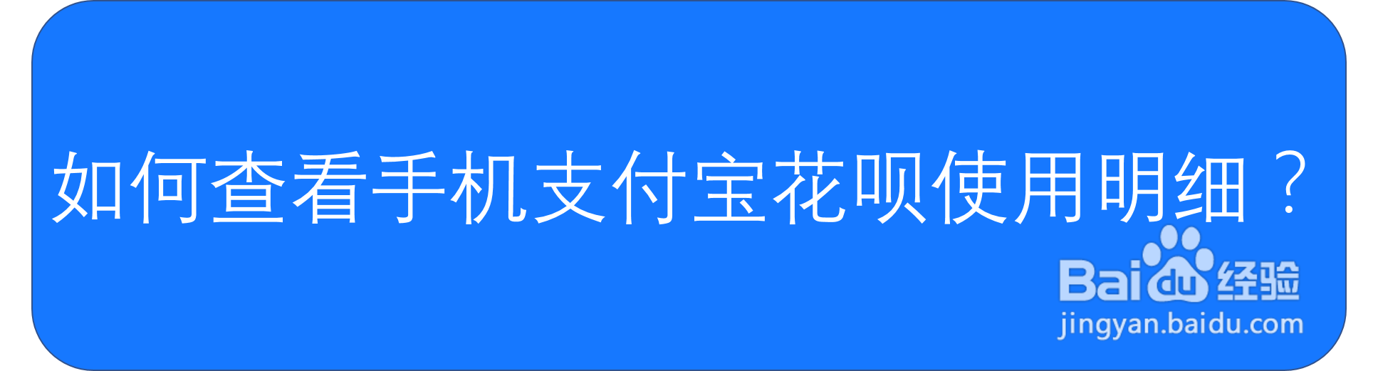 如何查看手机支付宝花呗使用明细？