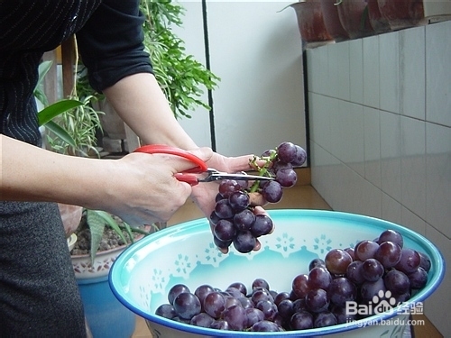 学做葡萄酒，比买的要好喝