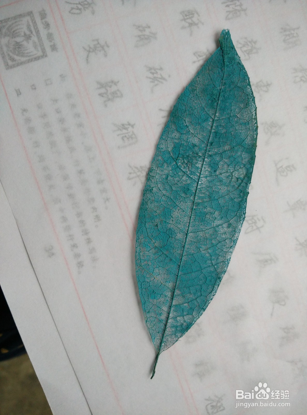 怎样制作精美的叶脉书签