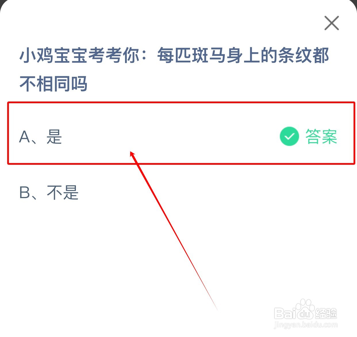每匹斑马身上的条纹都不相同吗?蚂蚁庄园小课堂