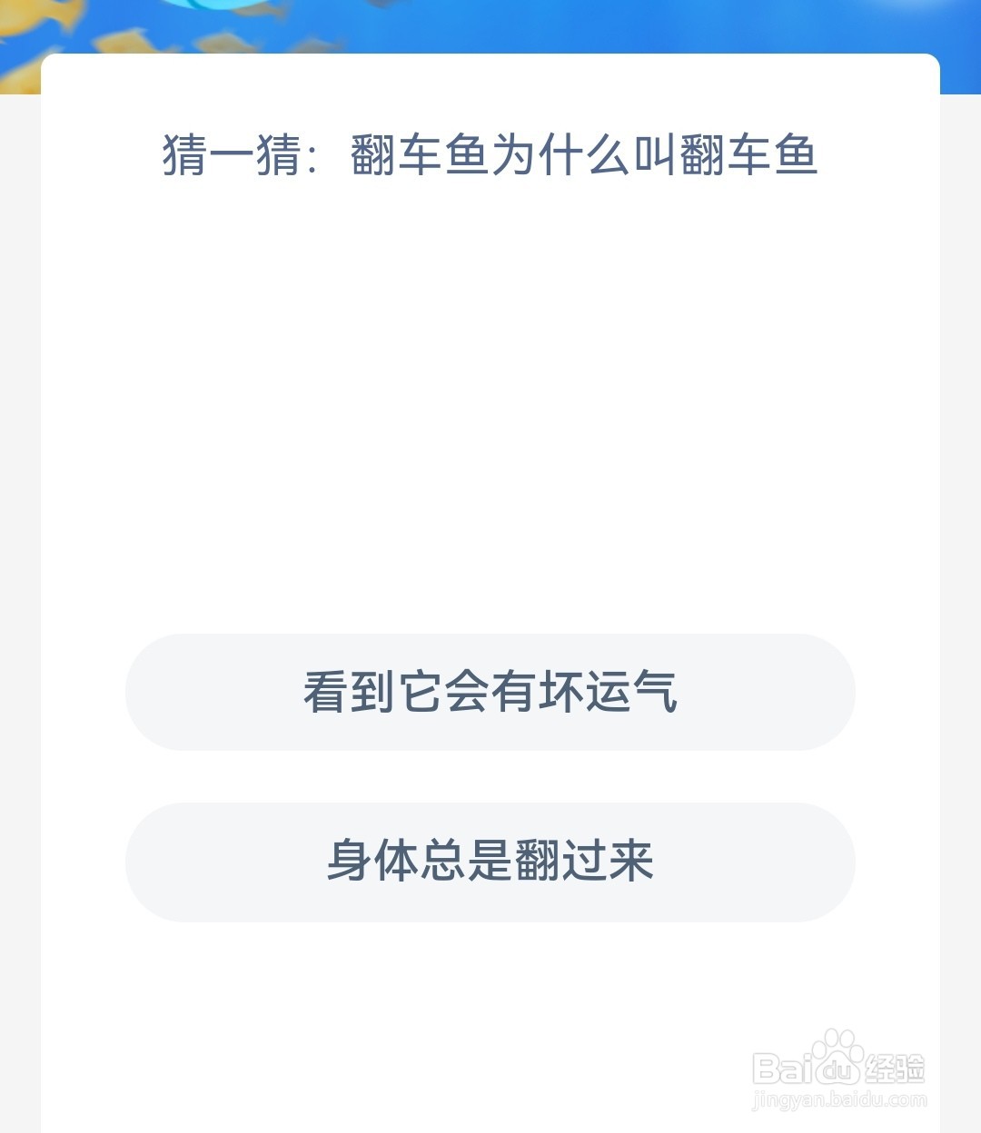 神奇海洋:猜一猜翻车鱼为什么叫翻车鱼