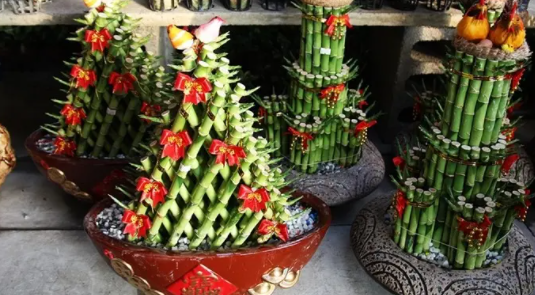 过年挂竹子是哪个注