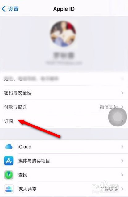 苹果12怎么取消爱奇艺自动续费