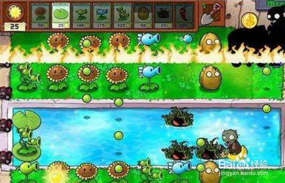 植物大战僵尸游戏攻略