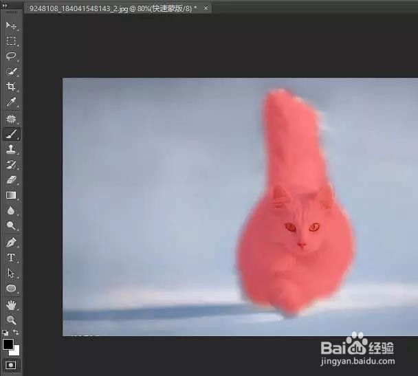 PS:如何用蒙版抠出白猫