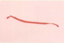 魔法气球造型系列之气球忍者神龟