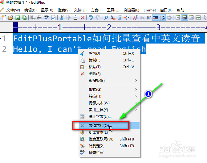 EditPlusPortable如何批量查看中英文读音