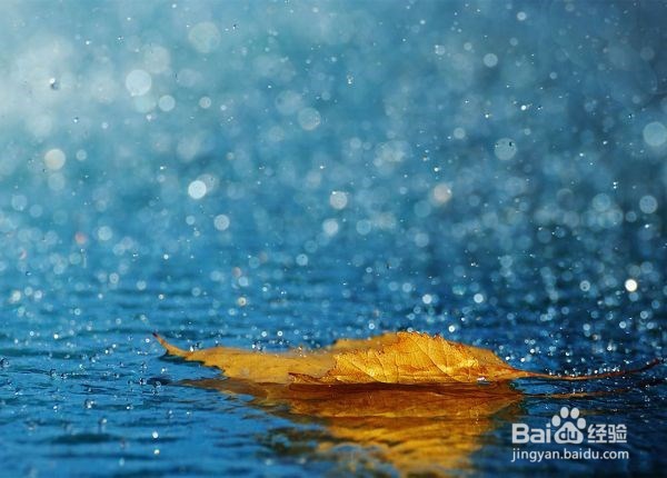 如何跟婆婆相处?