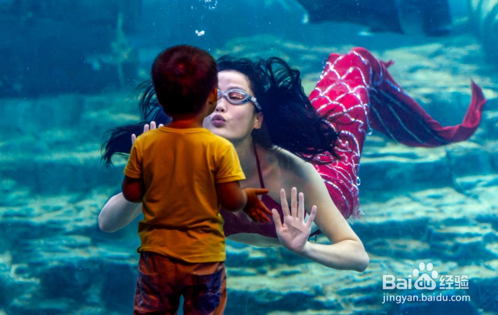 武汉东湖海洋乐园攻略