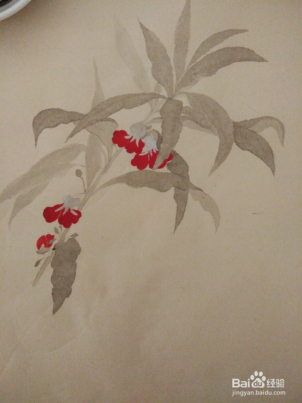 如何用没骨法画一株凤仙花