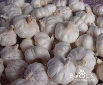 大米夏天保存怎么不生虫