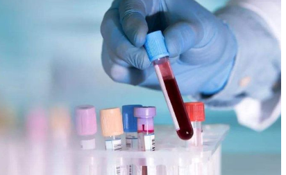 输入身份证号可以查血型吗