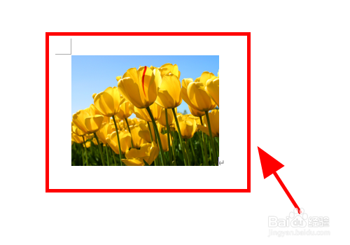 Word文档中怎么给图片添加标注注解信息