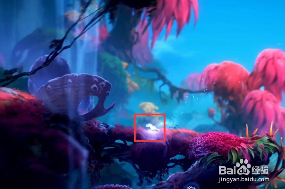 奥日2光之池怎么上去