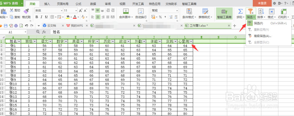 怎样使用WPS的筛选功能