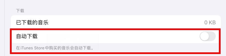 iPad自动下载属性如何关闭