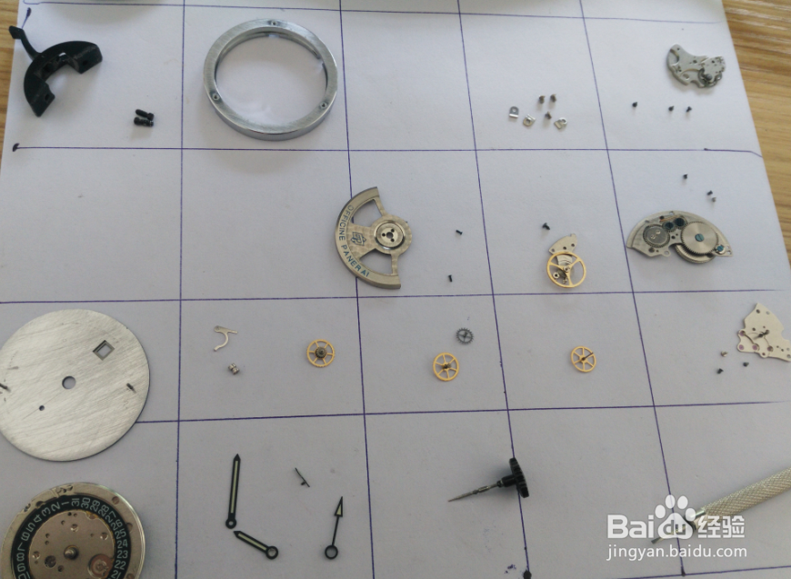 拆解海鸥机芯t25