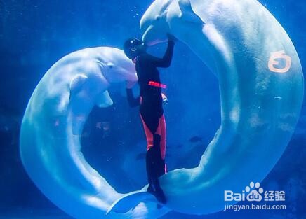 天津有什么好玩的地方