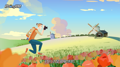 数码相机和单反的区别