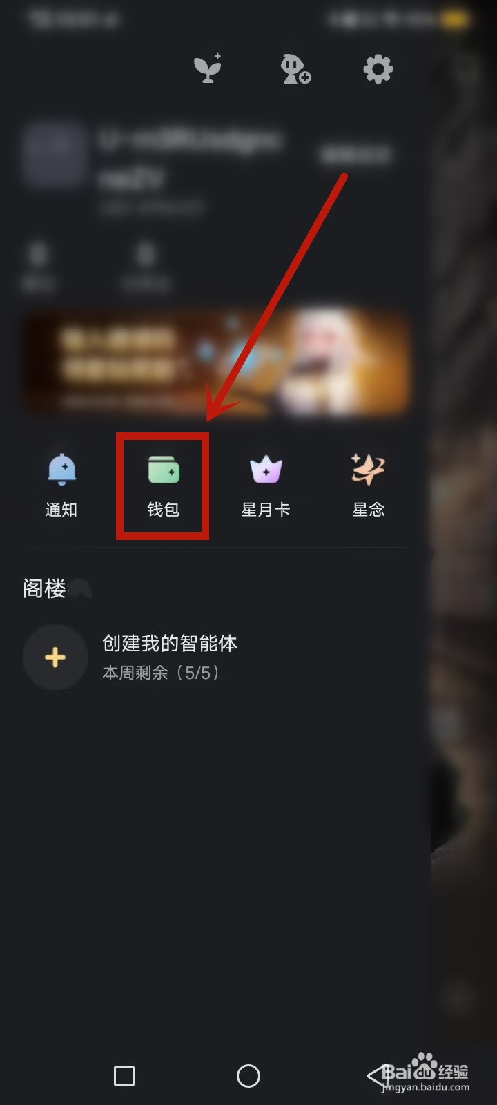 星野钱包收支明细怎么查询