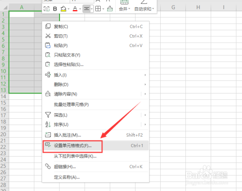 WPS单元格数据格式如何设置