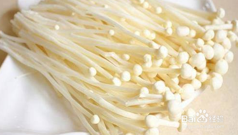 金针菇如何种植