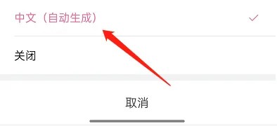 哔哩哔哩短视频在哪里看字幕