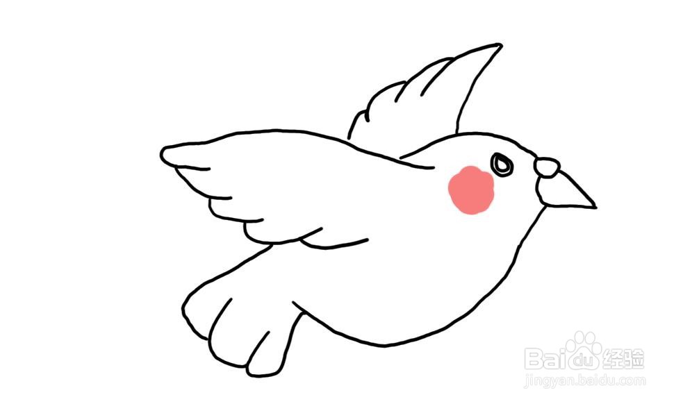 简笔画怎么画鸽子