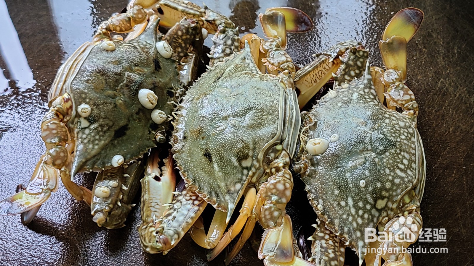 海鲜粥的做法