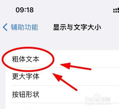 iPhone13如何显示文字的粗体