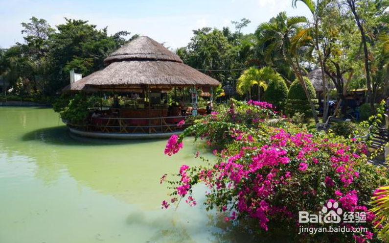 别再等等了，这个冬天，带上家人去旅行吧