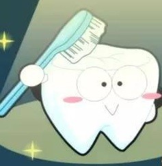 拔智齿把邻牙松动了怎么办