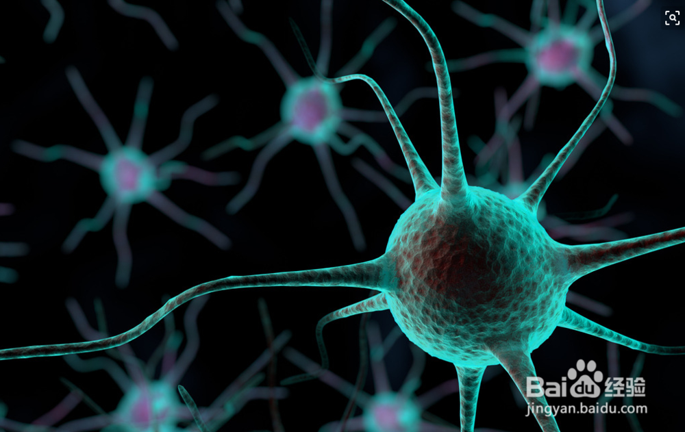 尖锐湿尤的检查项目包括什么