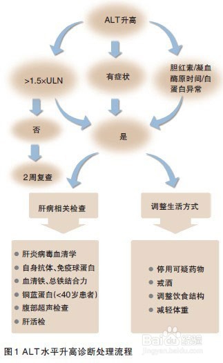 乙肝病毒dna定量结果如何看