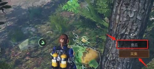 明日之后南瓜采集位置介绍