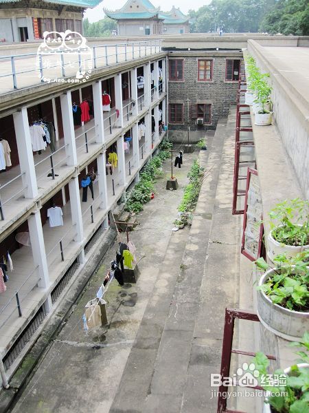 游.武汉——国立武汉大学