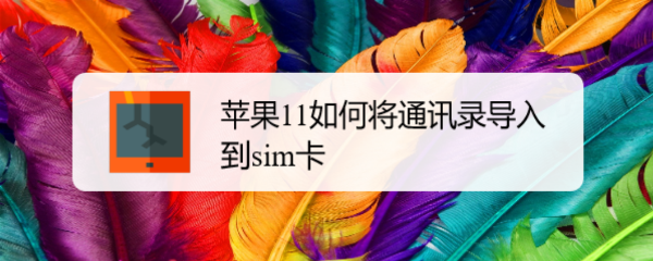 苹果11如何将通讯录导入到sim卡