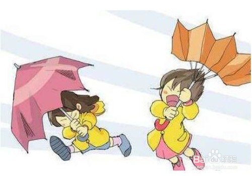 台风“天鸽”来了怎么办