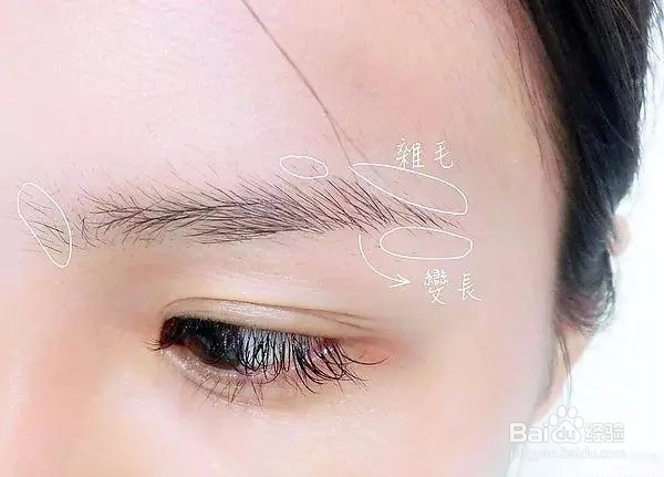 眉毛比列的正确画法!