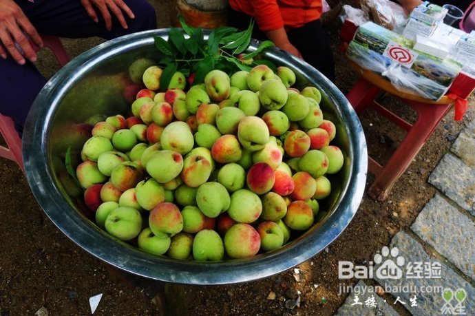 66@365【洪坑】土楼精华一日游