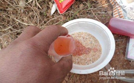 钓鱼小药,丁香油和丁香酒的制作方法