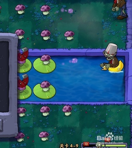 植物大战僵尸快速通关游戏攻略：[65]4-9.1
